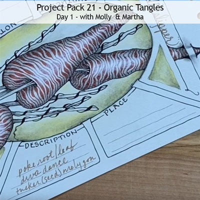 Zentangle® Project Pack 21 - Organic Tangles, Day 1