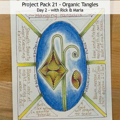 Zentangle® Project Pack 21 - Organic Tangles, Day 2