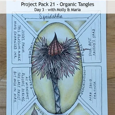 Zentangle® Project Pack 21 - Organic Tangles, Day 3