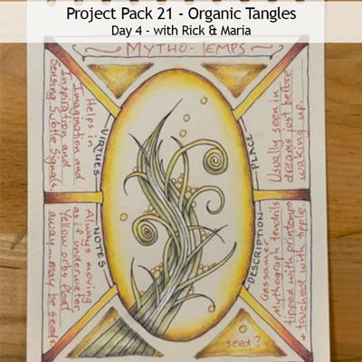 Zentangle® Project Pack 21 - Organic Tangles, Day 4