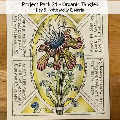 Zentangle® Project Pack 21 - Organic Tangles, Day 5