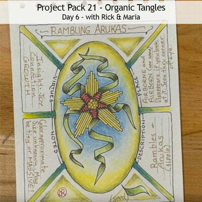 Zentangle® Project Pack 21 - Organic Tangles, Day 6
