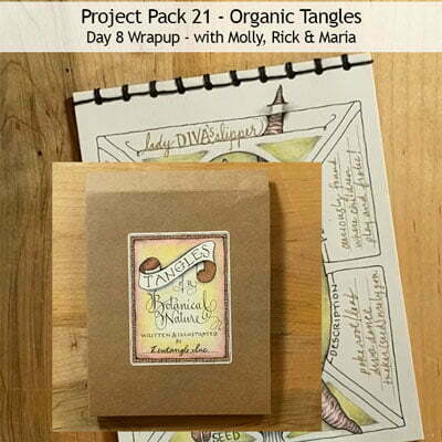 Zentangle® Project Pack 21 - Organic Tangles, Day 8
