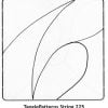 TanglePatterns String 225. Image © Linda Farmer and TanglePatterns.com. ALL RIGHTS RESERVED.