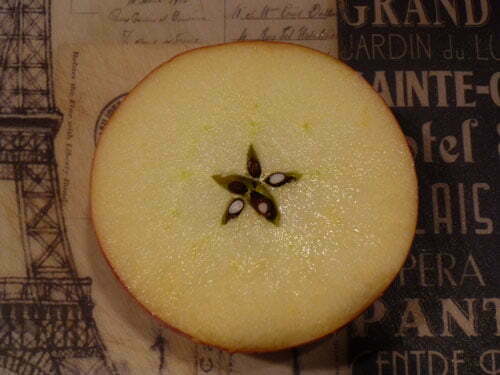 Cross section of a Honeycrisp apple, photo taken by Linda Farmer