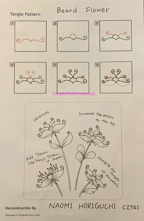 How to draw the Zentangle pattern Beard Flower, tangle and deconstruction by Naomi Horiguchi. Image copyright the artist and used with permission, ALL RIGHTS RESERVED.