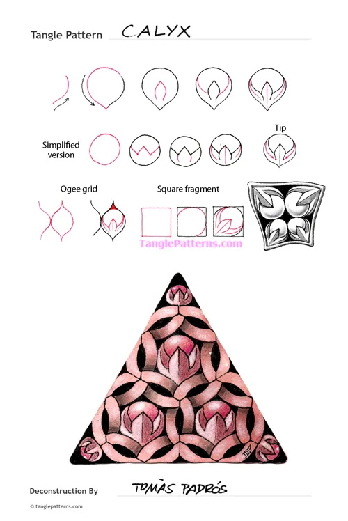 How to draw the Zentangle pattern Calyx, tangle and deconstruction by Tomàs Padrós. Image copyright the artist and used with permission, ALL RIGHTS RESERVED.