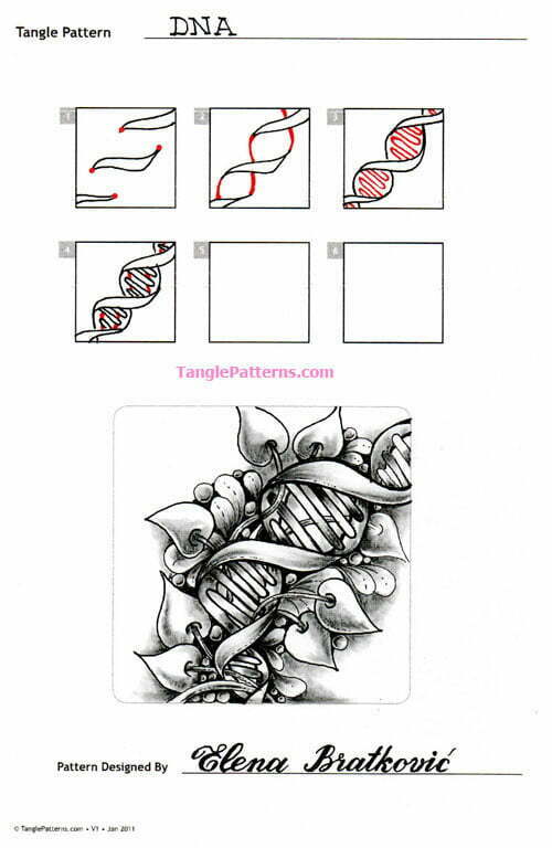 How to draw the tangle pattern DNA, tangle and deconstruction by Elena Bratkovic.