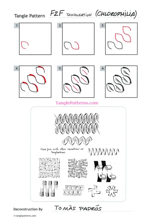 How to draw the tangle pattern F2F tangle and deconstruction by Tomàs Padrós.