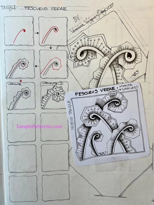 How to draw the Zentangle pattern Fescurus Verae, tangle and deconstruction by Veronica Vazquez. Image copyright the artist and used with permission, ALL RIGHTS RESERVED.