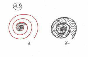Lesson 4 - Spirals