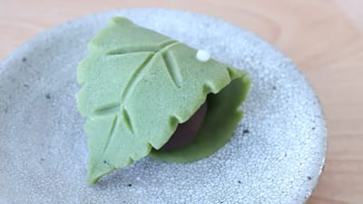 Video showing the making of Japanese Traditional Candy Art Wagashi Nerikiri "Otoshibumi"