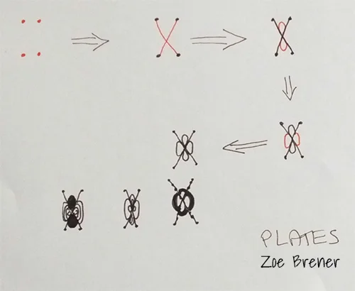 How to draw Zoe Brener's Zentangle pattern: Plates