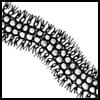 Zentangle pattern: Rapito. Image © Linda Farmer and TanglePatterns.com. ALL RIGHTS RESERVED. You may use this image for your personal non-commercial reference only. The unauthorized pinning, reproduction or distribution of this copyrighted work is illegal.