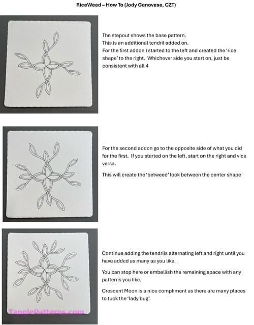 How to draw the Zentangle pattern Riceweed, tangle and deconstruction by Jody Genovese. Image copyright the artist and used with permission, ALL RIGHTS RESERVED. 