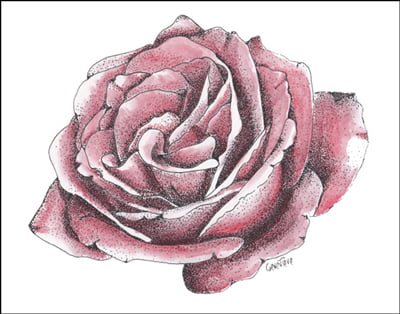 Stippled Rose with Watercolor