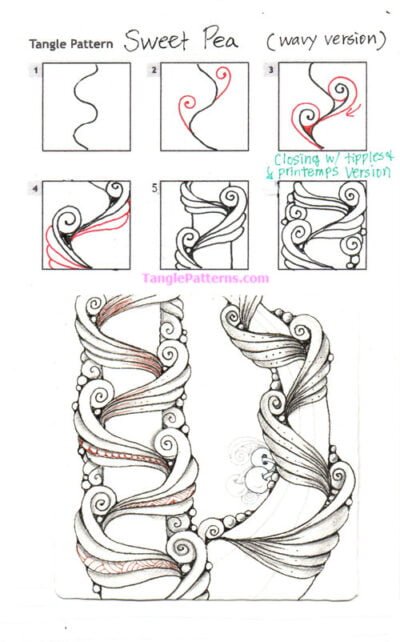 How to draw SWEET PEA « TanglePatterns.com