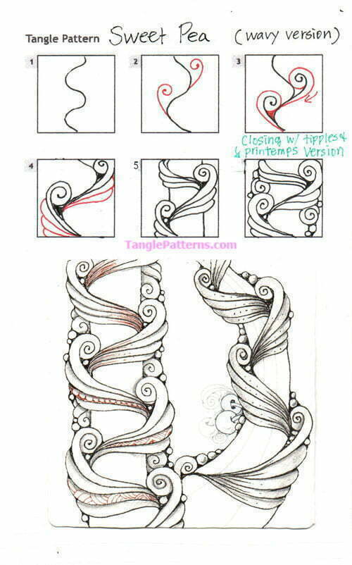 How to draw the Zentangle pattern Sweet Pea, tangle and deconstruction by Yoko Kageyama. Image copyright the artist and used with permission, ALL RIGHTS RESERVED.