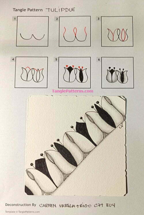 How to draw the Zentangle pattern TulipDue, tangle and deconstruction by Carmen Varela Trigo. Image copyright the artist and used with permission, ALL RIGHTS RESERVED.